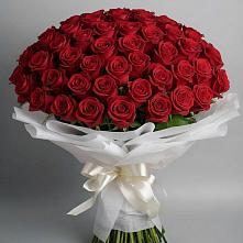 Букет 101 Красная роза Блэк Мэджик в Хлевном