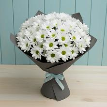 Букет цветов из:  Хризантемы #REPLACE_PRED# Хлевном