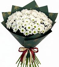 Букет цветов из:  Хризантемы #REPLACE_PRED# Хлевном