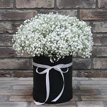 Цветочная композиция из Гипсофила в шляпной коробке в Хлевном