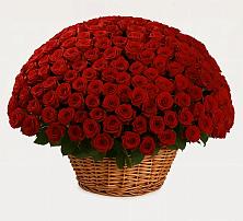 Премиум букет из: Розы #REPLACE_PRED# Хлевном